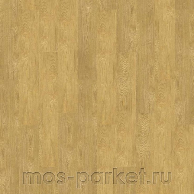 Клеевое напольное пробковое покрытие Corkstyle Wood XL Oak Deluxe