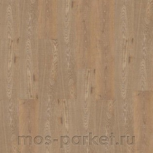 Corkstyle Wood XL Oak Graggy Japanese