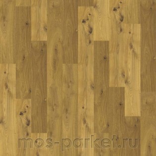 Corkstyle Wood XL Oak Knotty