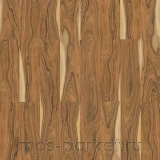 Corkstyle Wood XL Palisandr Santos