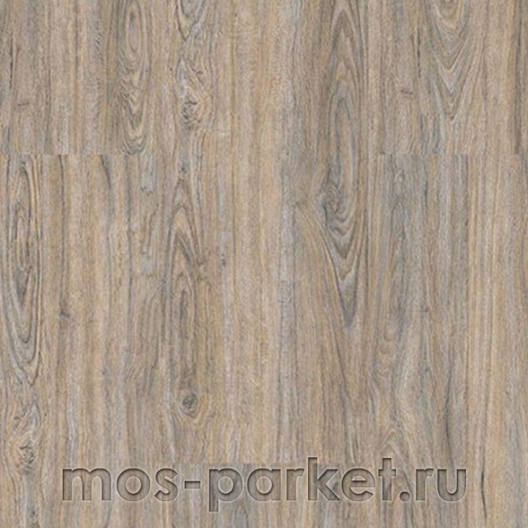 Клеевое напольное пробковое покрытие Corkstyle Wood CorkOak Leashed