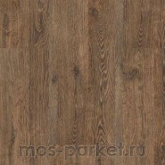 Клеевое напольное пробковое покрытие Corkstyle Wood Oak Brushed