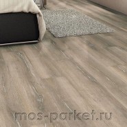 Напольное пробковое покрытие Haro Arteo XL 537258 Дуб Дюна структур