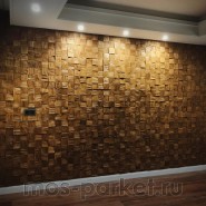 Деревянные стеновые панели Crownwood WP3D2V021 Капа