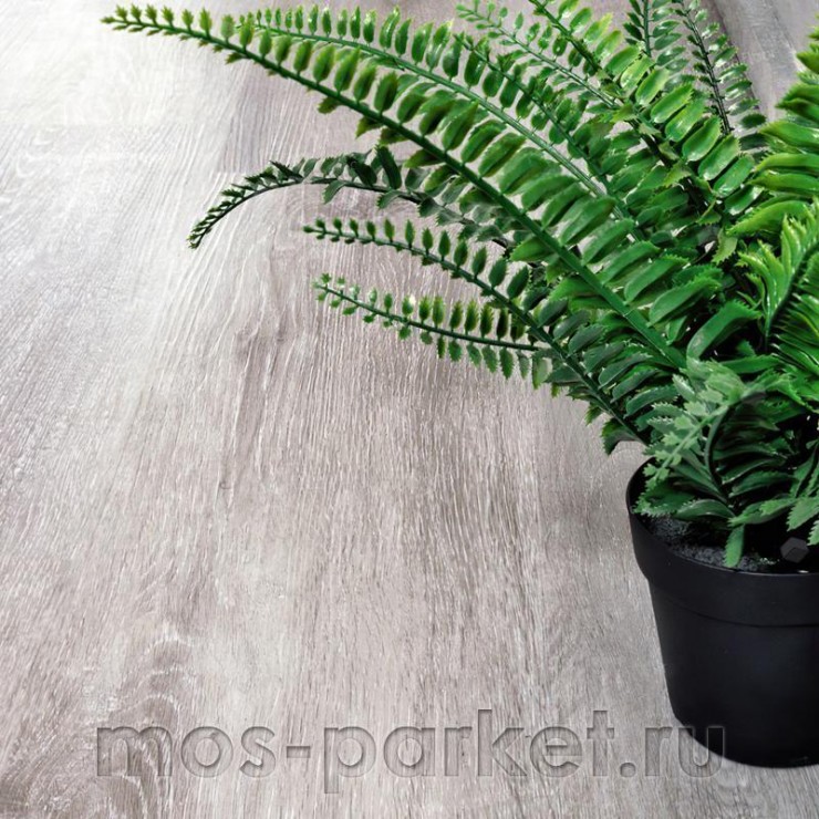 Каменный SPC ламинат Alpine Floor Classic ECO 134-5 Ясень серый