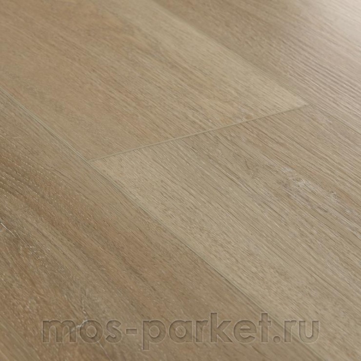 SPC ламинат Alpine Floor Intense ECO 9-13 Тихий Лес