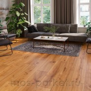 SPC ламинат Alpine Floor Pro Nature 62544 Andes