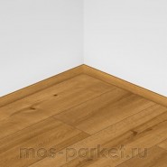 SPC ламинат Alpine Floor Pro Nature 62544 Andes