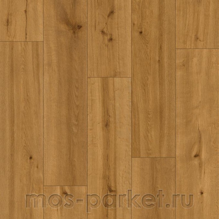 SPC ламинат Alpine Floor Pro Nature 62544 Andes