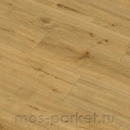 SPC ламинат Alpine Floor Pro Nature 62543 Caldas