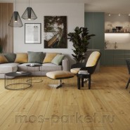 SPC ламинат Alpine Floor Pro Nature 62543 Caldas