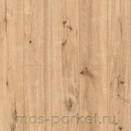 SPC ламинат Alpine Floor Pro Nature 64634 Oak Poprad