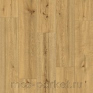 SPC ламинат Alpine Floor Pro Nature 62541 Soacha