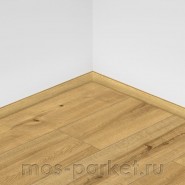 SPC ламинат Alpine Floor Pro Nature 62541 Soacha