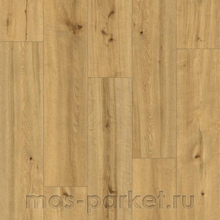 SPC ламинат Alpine Floor Pro Nature 62541 Soacha