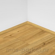 SPC ламинат Alpine Floor Pro Nature 62538 Soledad