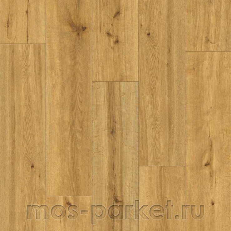 SPC ламинат Alpine Floor Pro Nature 62538 Soledad