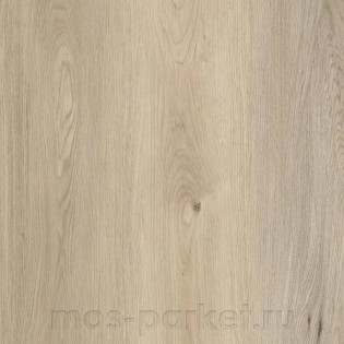 Damy Floor Family SPC 9531-2A Дуб кавказский