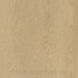 Damy Floor Family SPC 0030-2 Дуб Латте