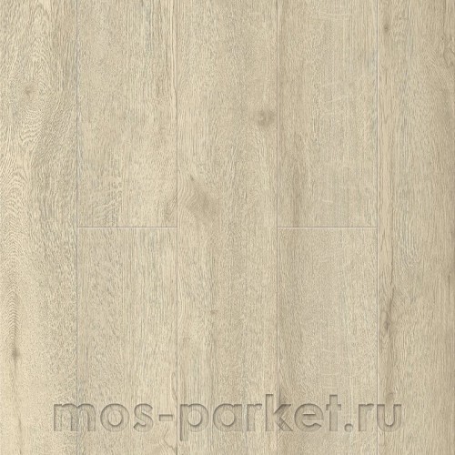 Ensten Hygge ECO 101-09 Карите