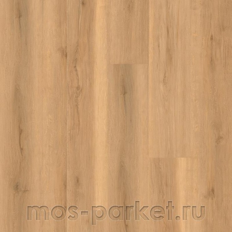 Кварцевый SPC ламинат EvoFloor Home L-20993 Дуб бежевый