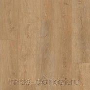 Кварцевый SPC ламинат EvoFloor Home L-29266 Дуб медовый