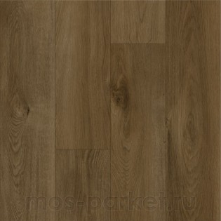 Home Expert Prime 305-111 Дуб Мусковадо