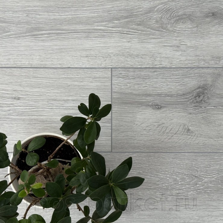 SPC ламинат Icon Floor Aquamarine AQ-19 Дуб Писсаро