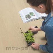 Замковый виниловый пол Quick-Step Alpha Vinyl Blos AVSPU40277 Дуб молочный
