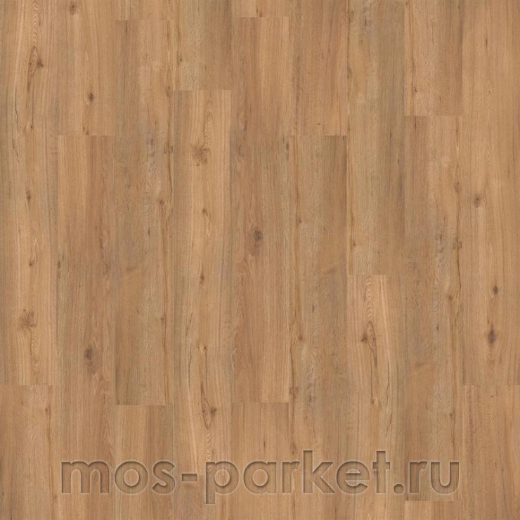 Виниловый пол Tarkett Art Vinyl Dream House Robert