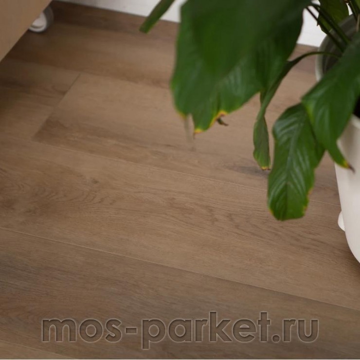 Виниловый пол Vinilam Cork 10130V Дуб Антверпен