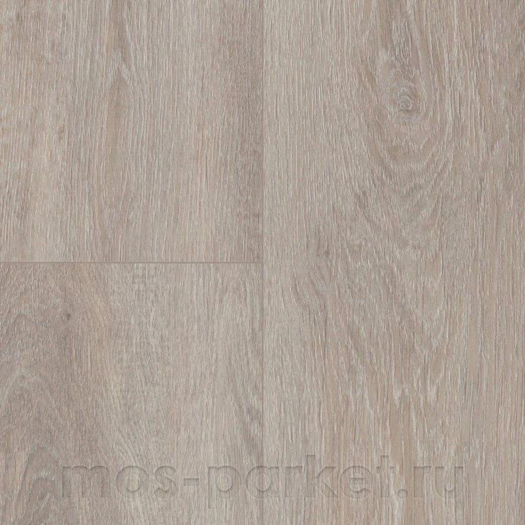 SPC ламинат Wineo 400 Wood XL RLC301WXL Дуб светло-серебристый