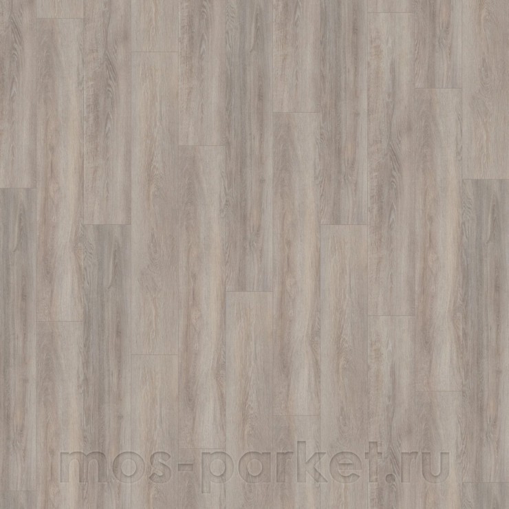 SPC ламинат Wineo 400 Wood XL RLC301WXL Дуб светло-серебристый