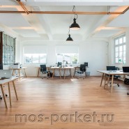 Виниловый пол Wineo 600 Wood DB184W6 Warm Place