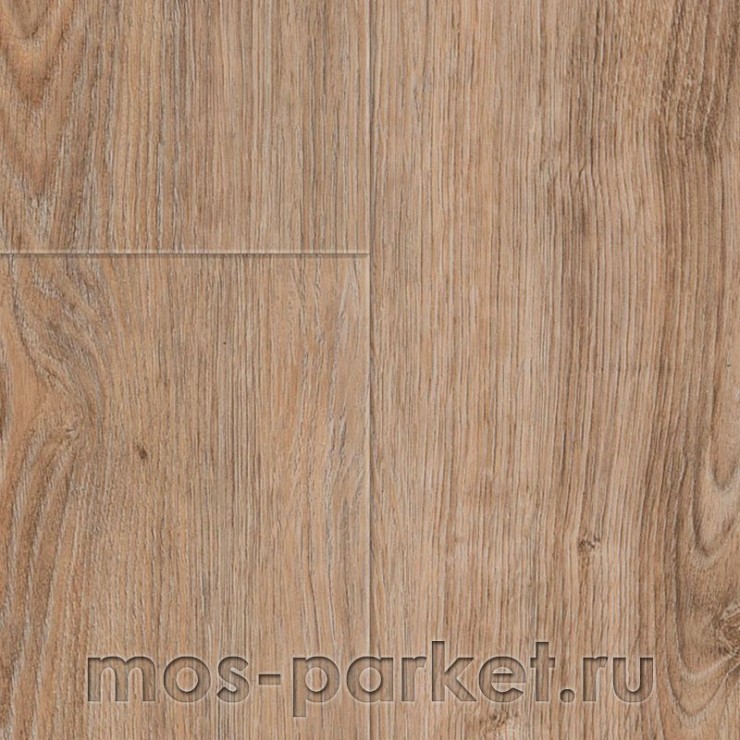 Виниловый пол Wineo 800 Wood XL DLC00062 Clay Calm Oak