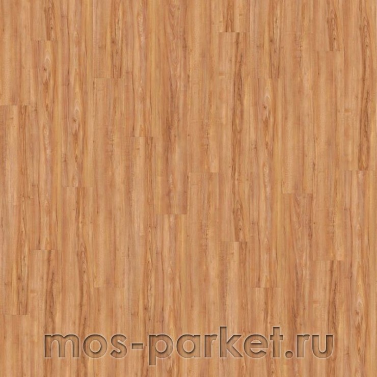 Виниловый пол Wineo 800 Wood DLC00081 Honey Warm Maple