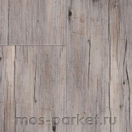 Виниловый пол Wineo 800 Wood DLC00082 Riga Vibrant Pine