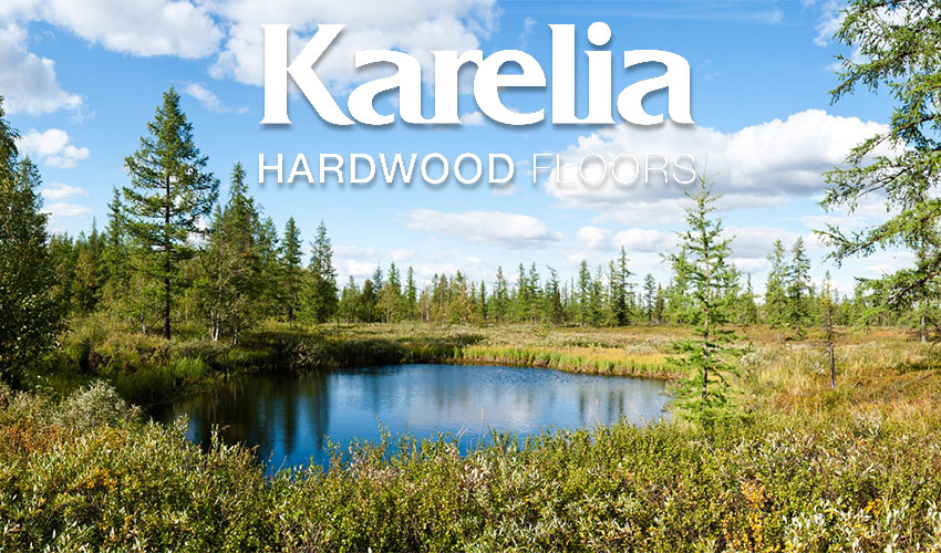 Экологичность паркета Karelia. Бережем природу