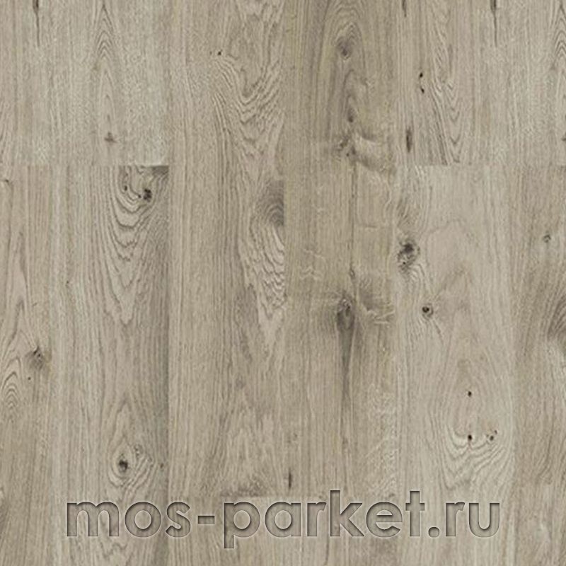 Клеевое напольное пробковое покрытие Corkstyle Wood Oak Grey